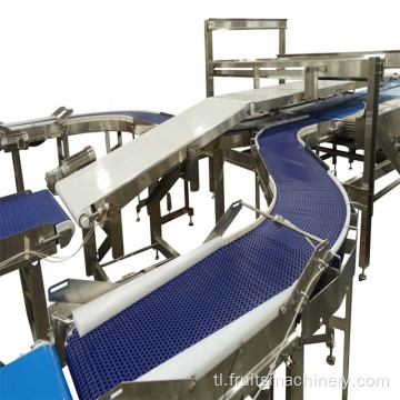 Pinaka -epektibong blueberry grading machine